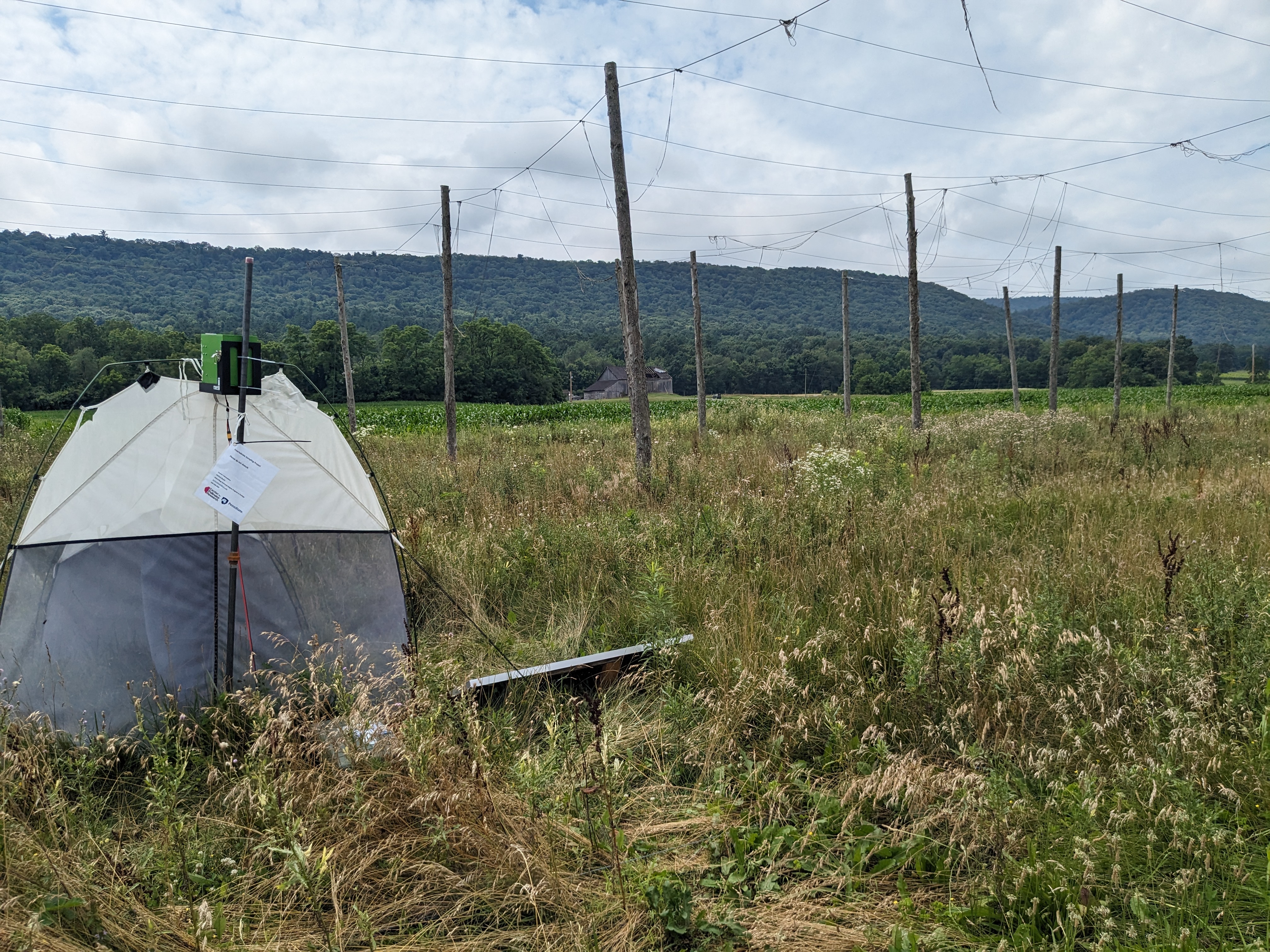 InsectEye deployed in an open meadow with mountain backdrop